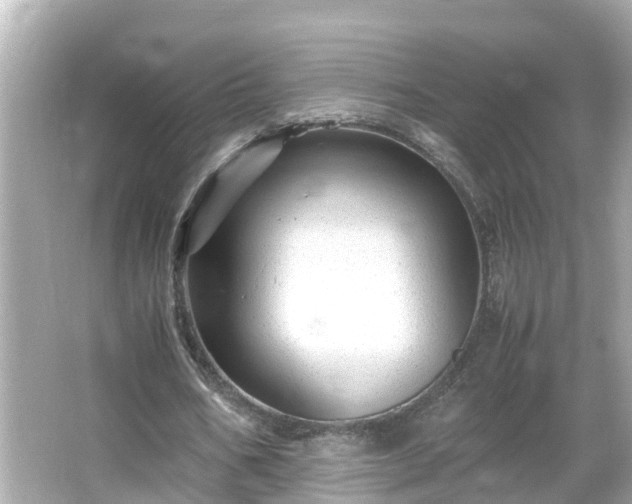 X0000066000578200603101533