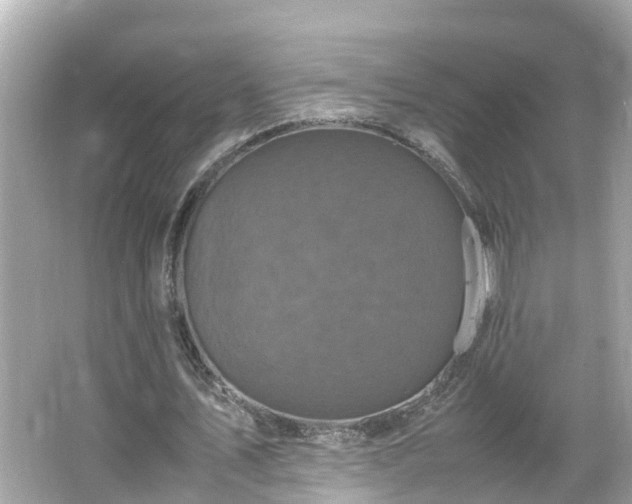 X0000066000579200603101533