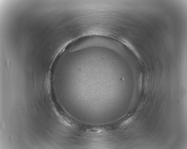 X0000066000580200603101533