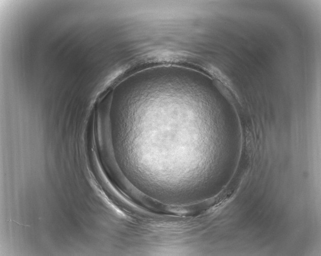 X0000066000581200603101533