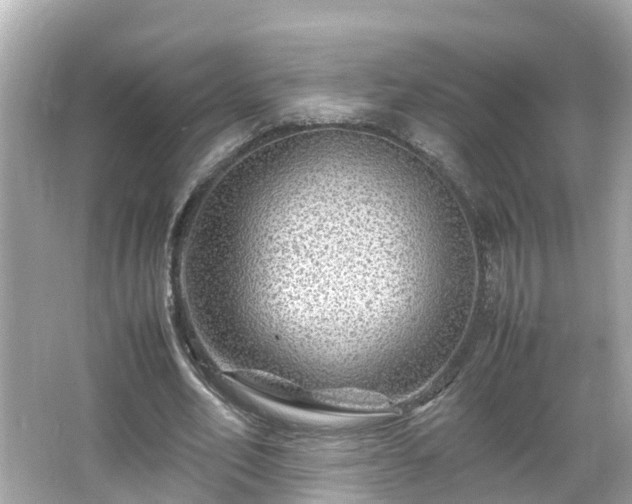 X0000066000582200603101533