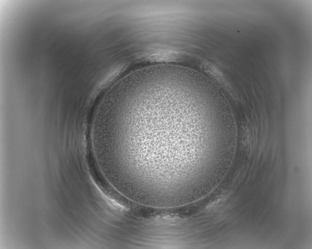 X0000066000586200603101533