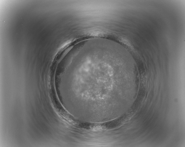 X0000066000587200603101533