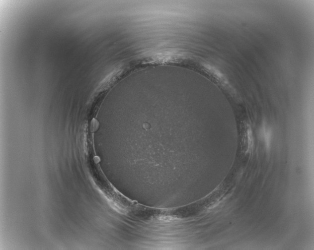 X0000066000590200603101533