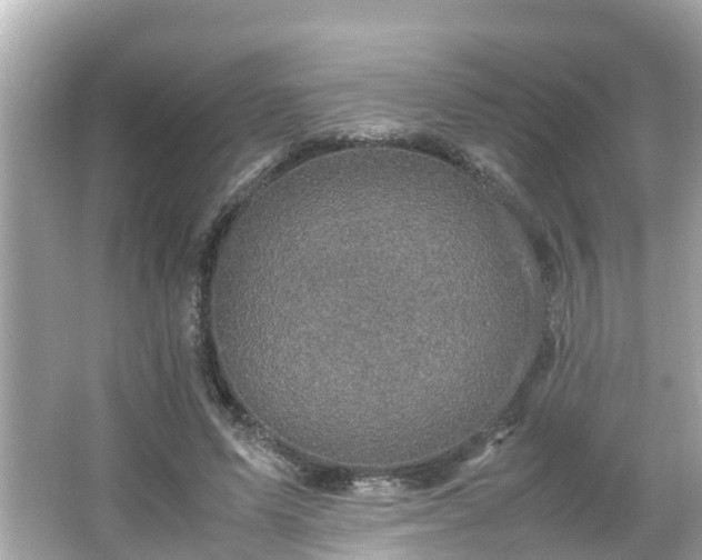 X0000066000591200603101533