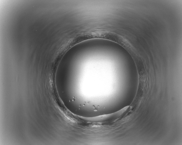 X0000066000593200603101533