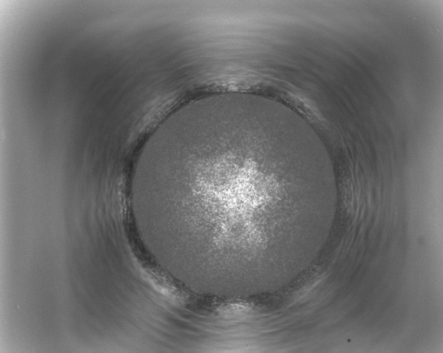 X0000066000594200603101533