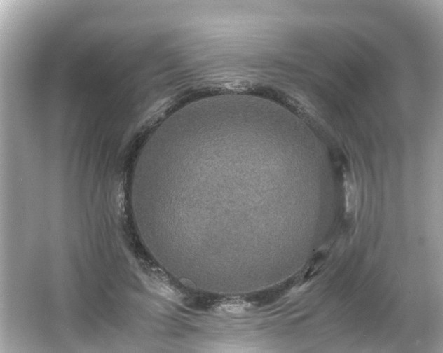 X0000066000595200603101533