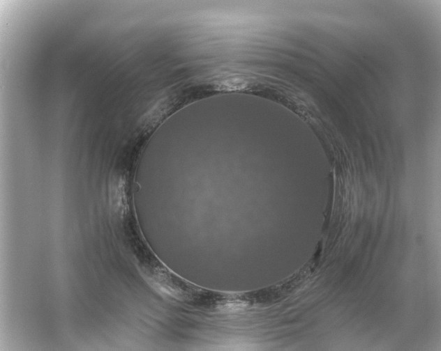 X0000066000598200603101533