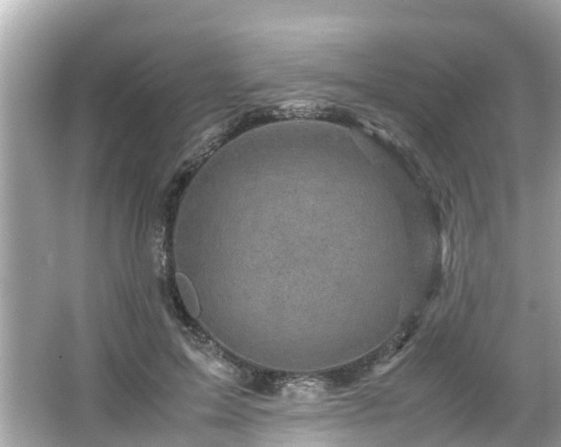 X0000066000599200603101532