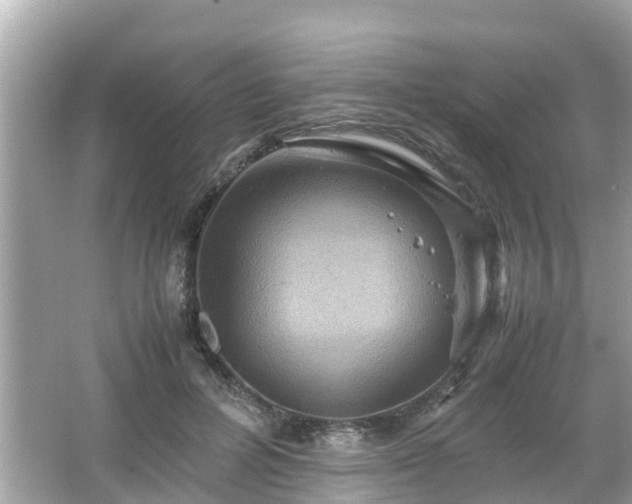 X0000066000600200603101532