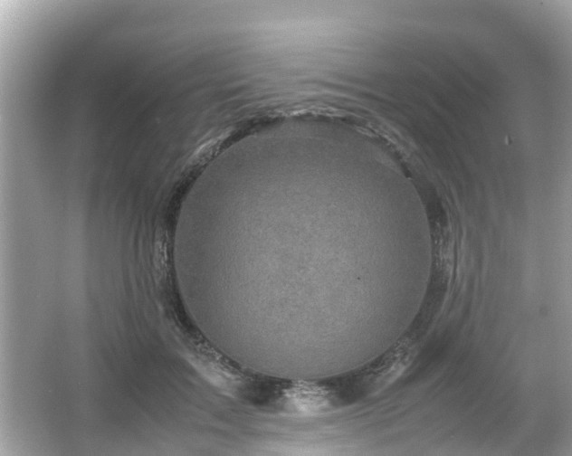 X0000066000603200603101532