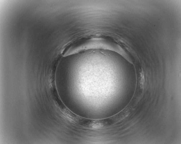 X0000066000604200603101532