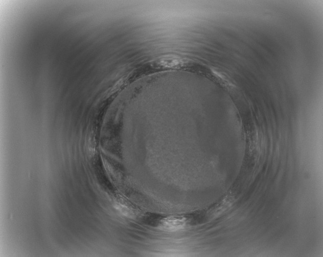 X0000066000606200603101532