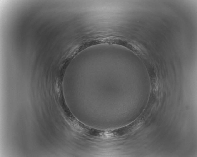 X0000066000607200603101532