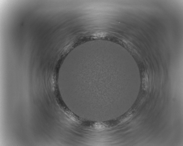 X0000066000608200603101532