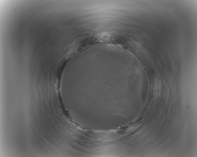 X0000066000610200603101532