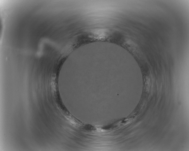 X0000066000612200603101532