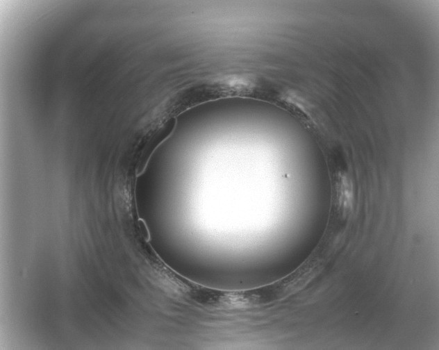 X0000066000613200603101532