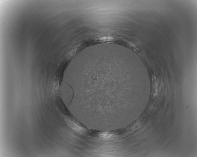 X0000066000614200603101532