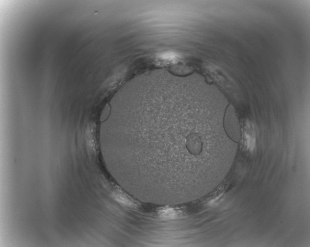 X0000066000616200603101532