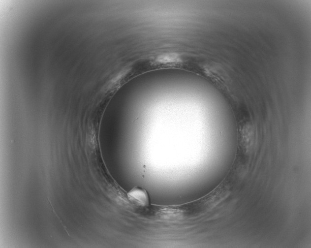 X0000066000617200603101532