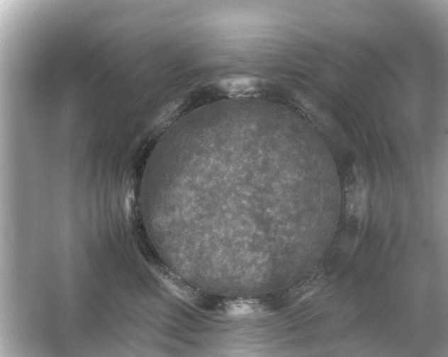 X0000066000618200603101532