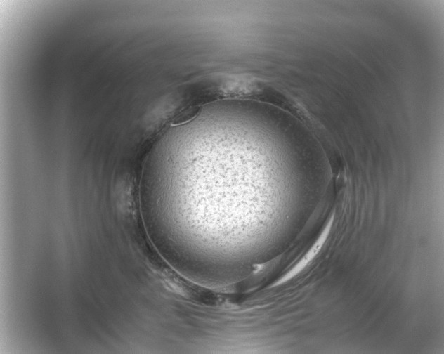 X0000066000619200603101532