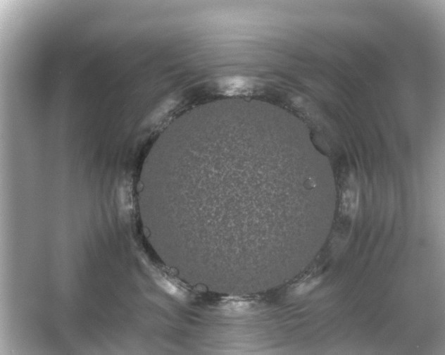 X0000066000620200603101532