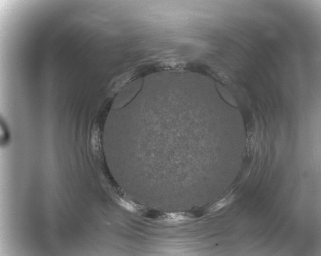 X0000066000623200603101532