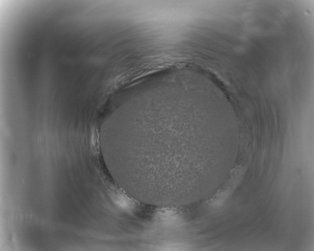 X0000066000624200603101532