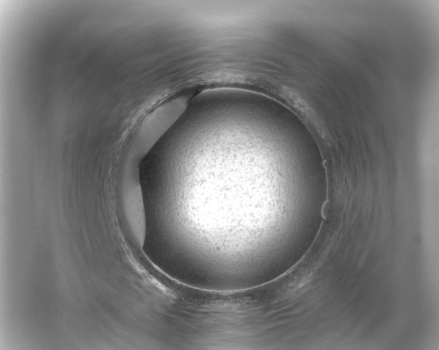 X0000066000625200603101531