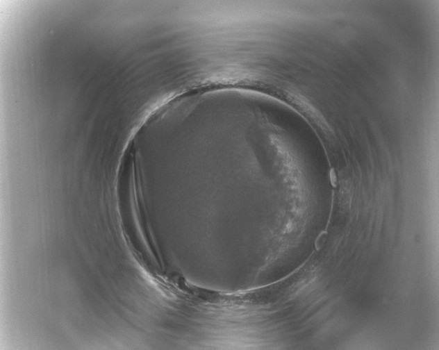 X0000066000626200603101531