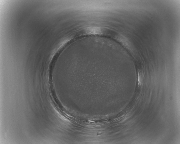 X0000066000627200603101531