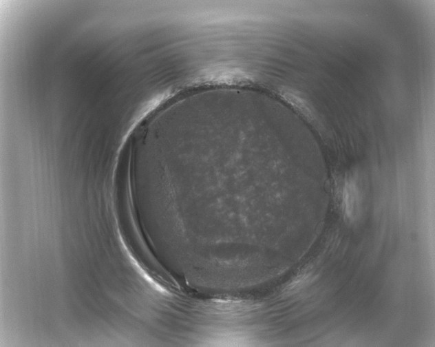 X0000066000630200603101531