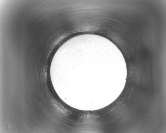 X0000066000632200603101531