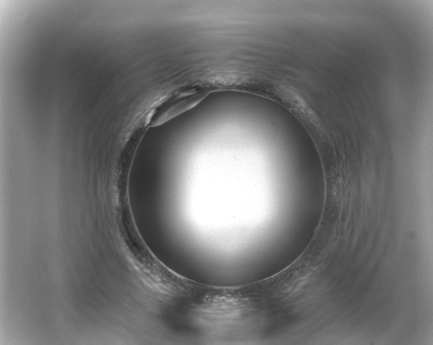 X0000066000635200603101531