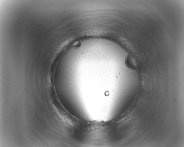 X0000066000636200603101531