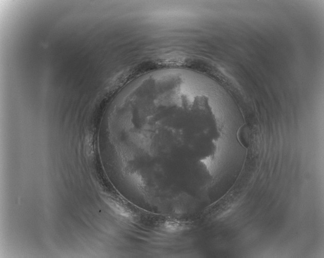 X0000066000641200603101532