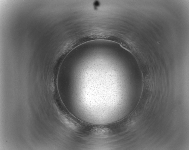 X0000066000642200603101532