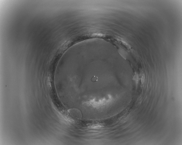 X0000066000643200603101532