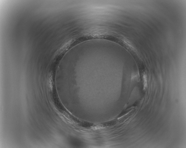 X0000066000644200603101532