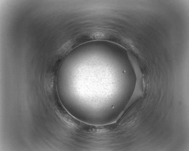 X0000066000645200603101532