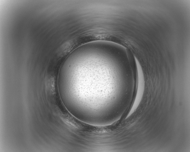 X0000066000646200603101532