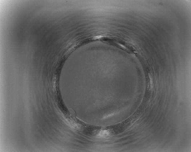 X0000066000647200603101532