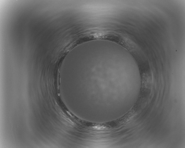 X0000066000650200603101532