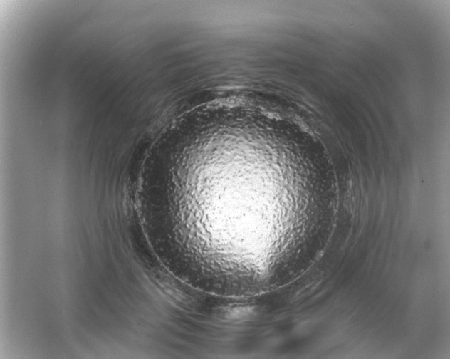 X0000066000651200603101532