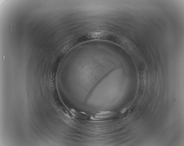 X0000066000653200603101532