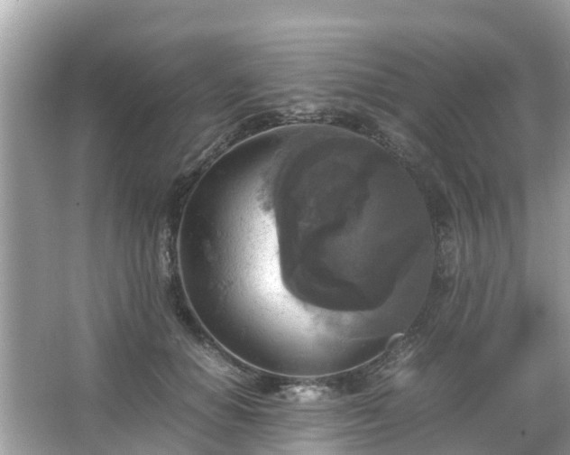 X0000066000654200603101532