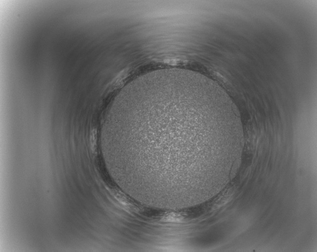 X0000066000656200603101532